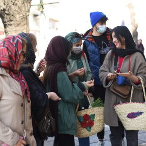 تجربه گردش در جنگل های مازندران